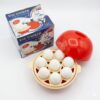Egg Electric Egg Boiler and Vegetable Steamer – Automatic Shut-Off Rapid Cooker for Healthy Breakfast & Steamed Snacks
