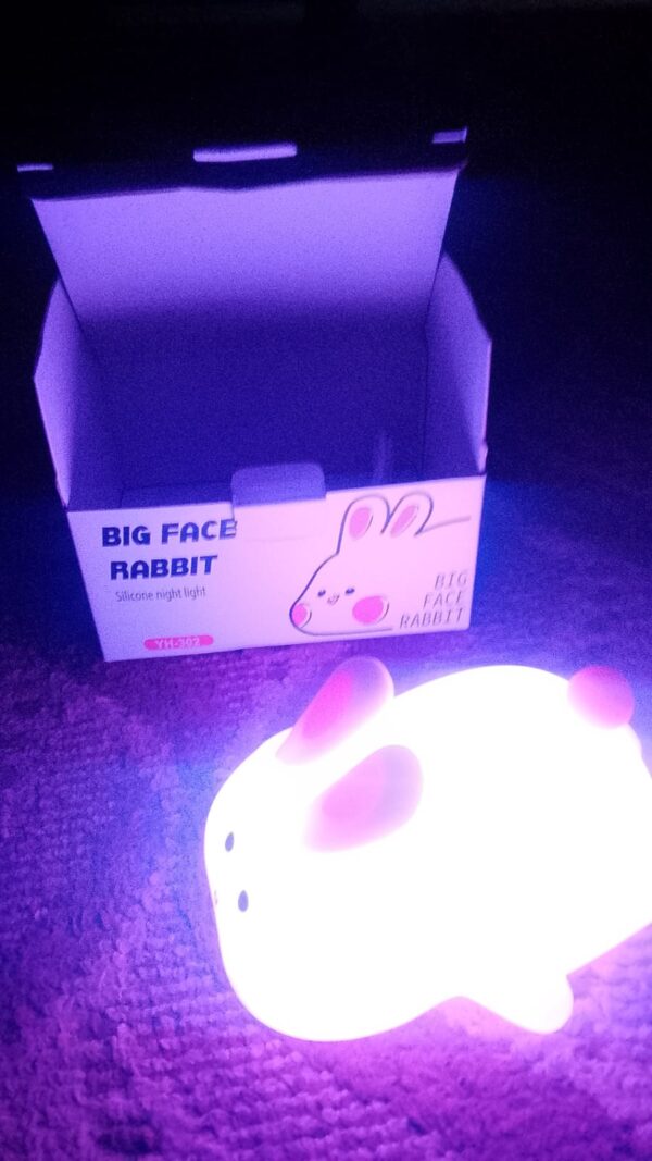 WhatsApp Image 2026-06-21 at 04.41.04 Silicon Rabbit Lamp - Cute Lamps - Rechargeable Rabbit Lamp With Touch Sensor - Bunny Night Lamps for Kids